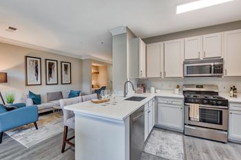 Gourmet Kitchens with Breakfast Bars